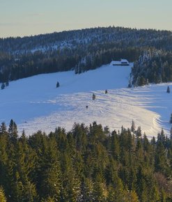 Kronika GP GOPR 29.12.19 - 6.01.20