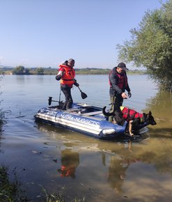 Poszukiwania jezioro Czorsztyńskie - 08.09.2021 r.