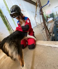 Szkolenie z wykorzystaniem psów ratowniczych w terenie zamkniętym - INTERREG PL/SK