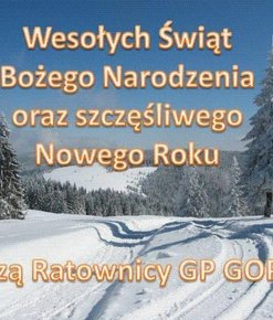 Wesołych Świąt Bożego Narodzenia !