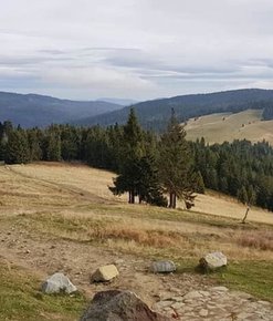 KRONIKA GRUPY PODHALAŃSKIEJ GOPR 5-12.10.2020 R.