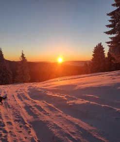 Kronika Grupy Podhalańskiej GOPR 10 - 17.01.2022 r.