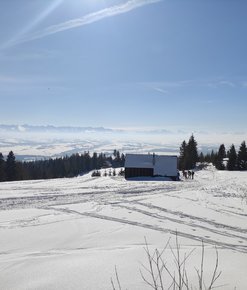 Kronika Grupy Podhalańskiej GOPR 01 - 07.03.2021 r.