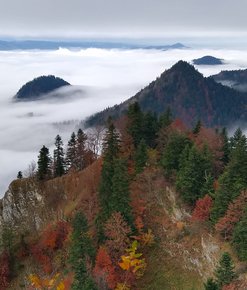Kronika Grupy Podhalańskiej 26.10-2.11.2020 r.