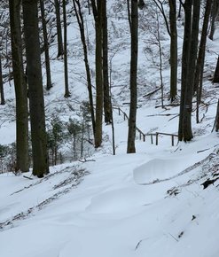 Kronika Grupy Podhalańskiej GOPR 12 - 18.04.2021 r.