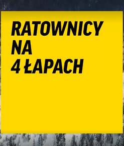 &quot;Ratownicy na czterech łapach&quot;. Tak szkoli się psy ratunkowe GOPR